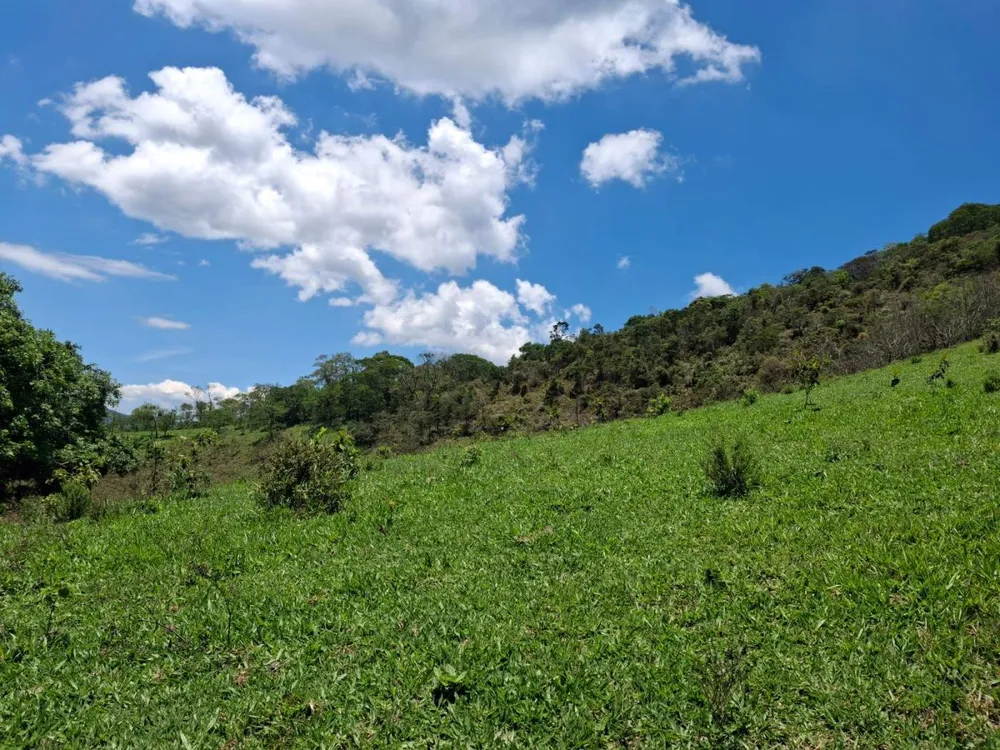 Terreno, 104 hectares - Foto 3