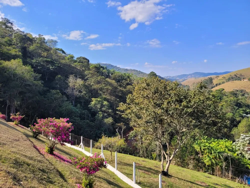 Terreno, 5 hectares - Foto 3