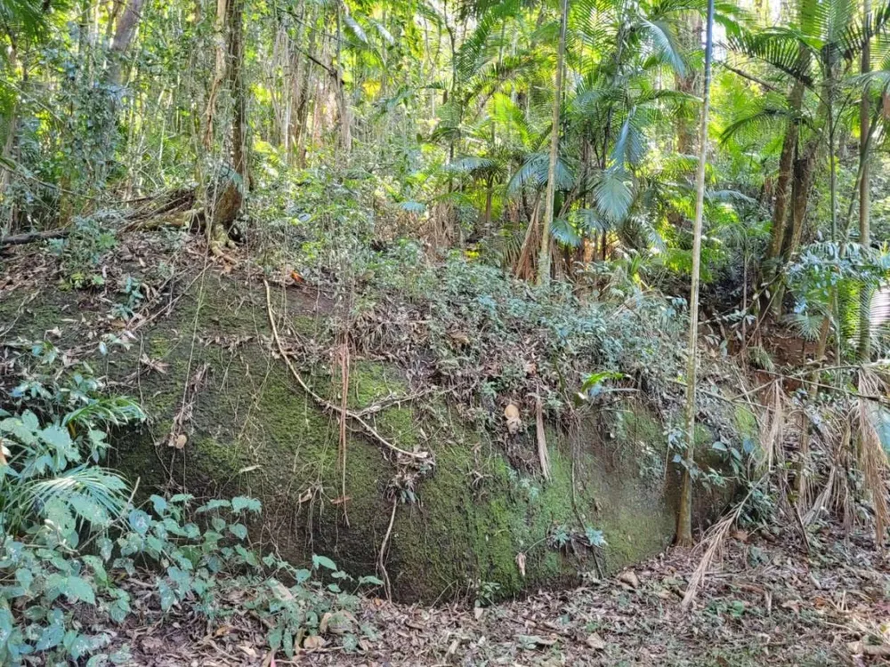 Terreno - Foto 7