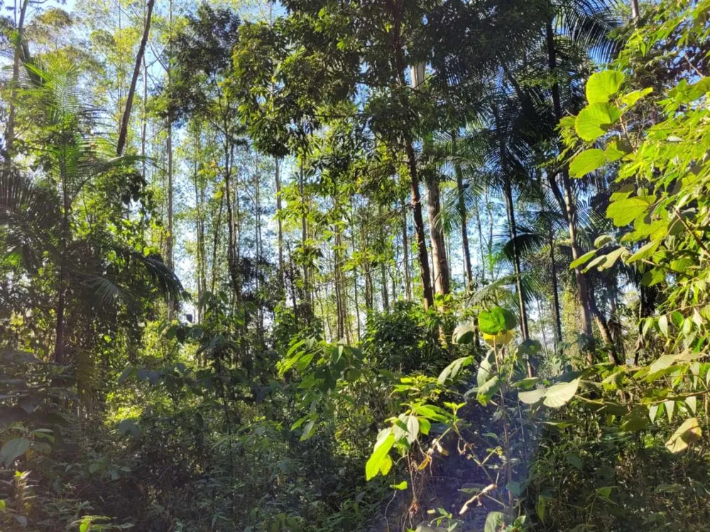Terreno - Foto 2
