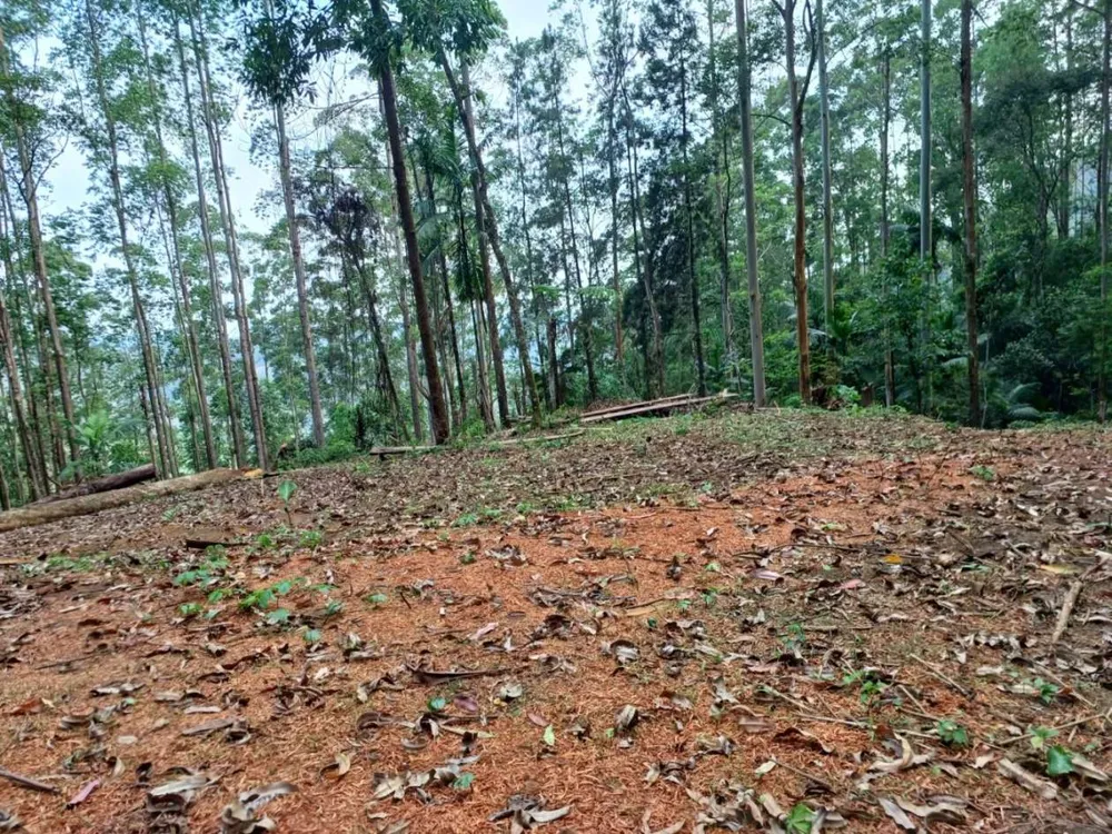 Terreno - Foto 11