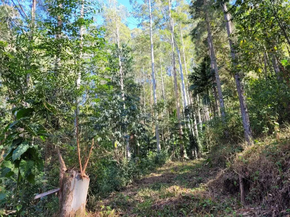 Terreno - Foto 5