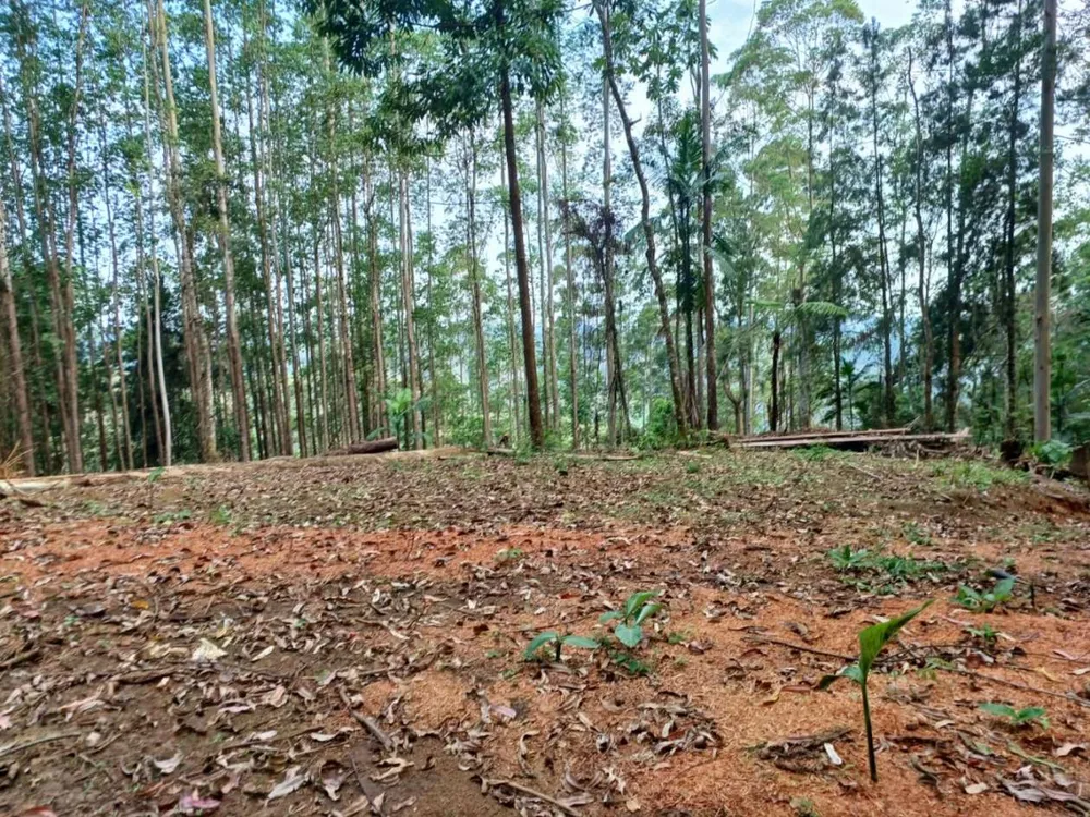 Terreno - Foto 10