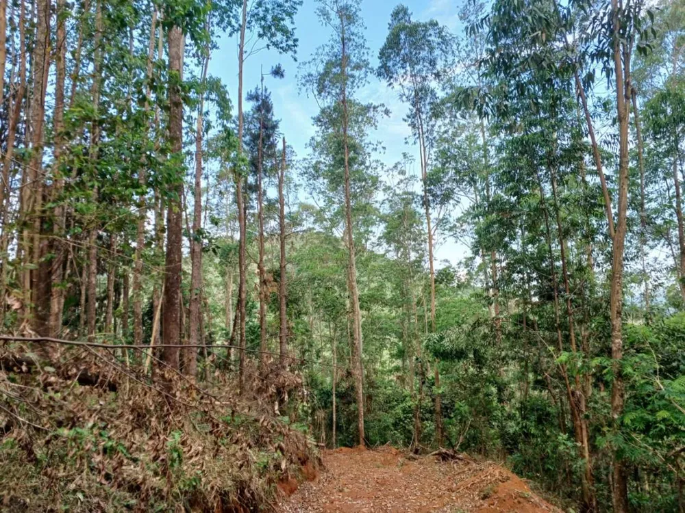 Terreno - Foto 9