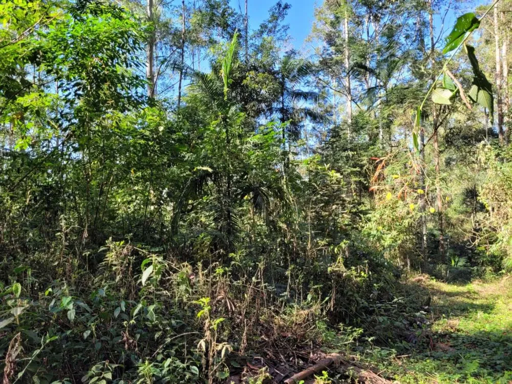 Terreno - Foto 4