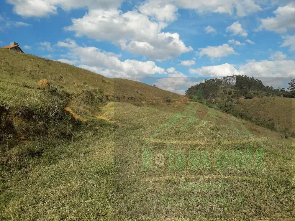 Terreno, 2 hectares - Foto 8