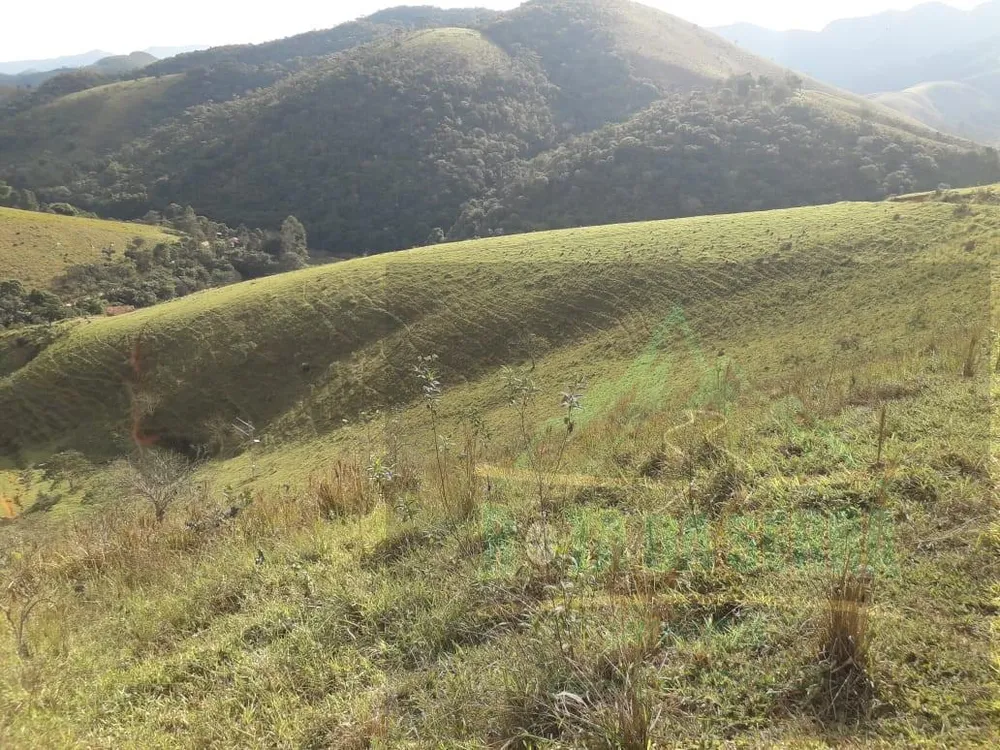 Terreno, 2 hectares - Foto 16