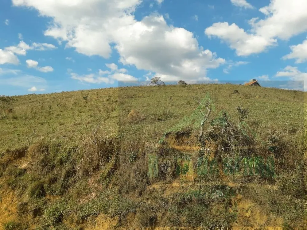 Terreno, 2 hectares - Foto 10