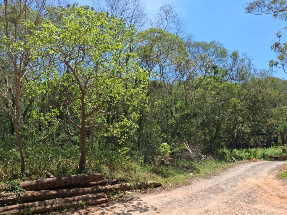 Terreno - Foto 13