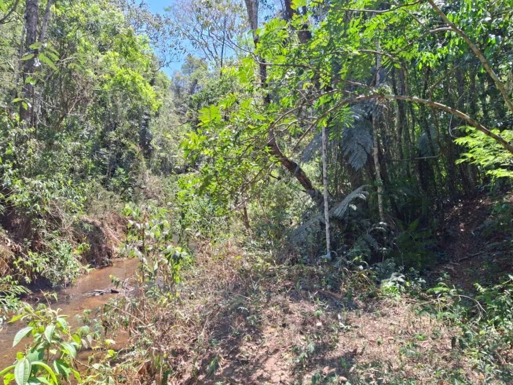 Terreno - Foto 2