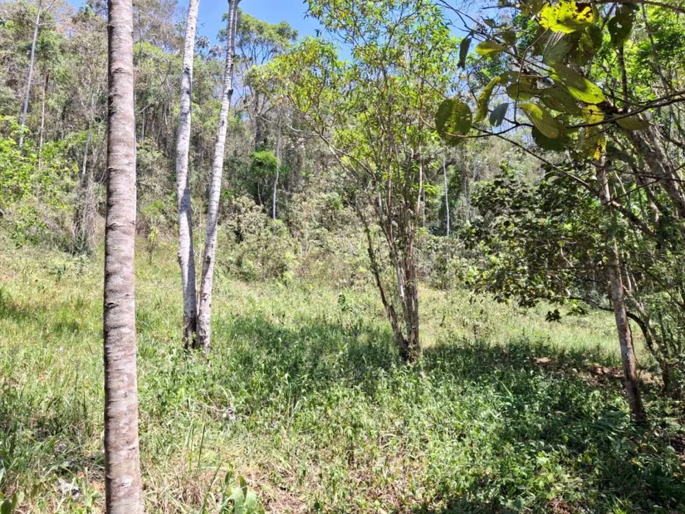 Terreno - Foto 4