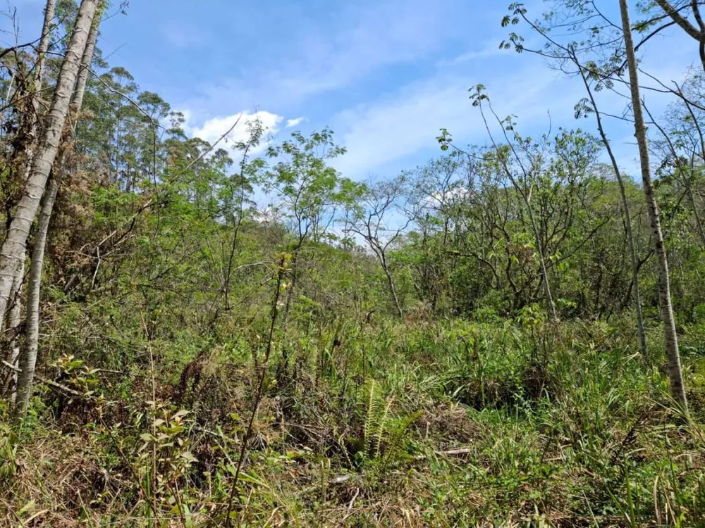 Terreno - Foto 5