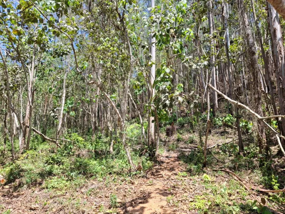 Terreno - Foto 6