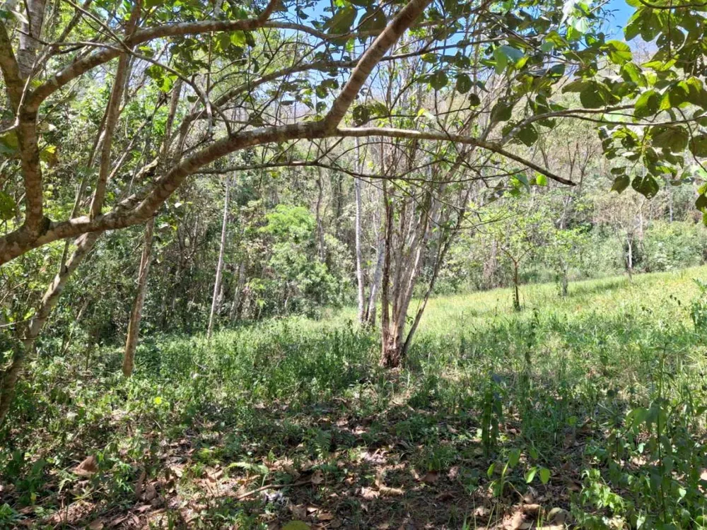 Terreno - Foto 3