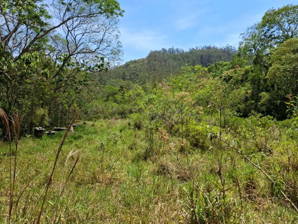 Terreno - Foto 9