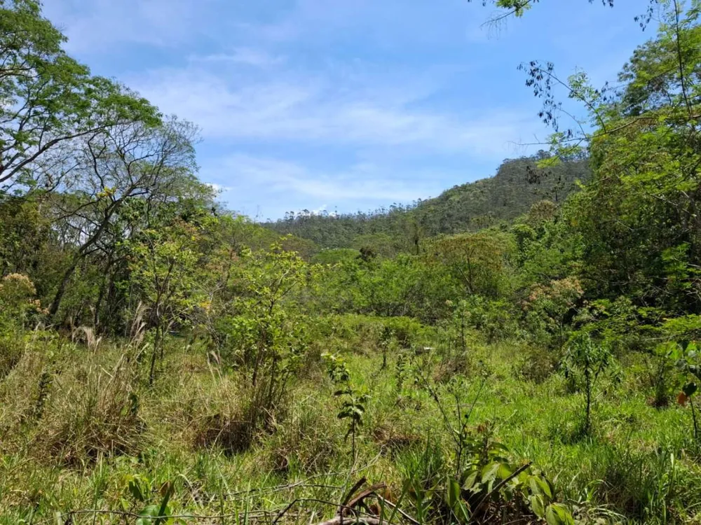 Terreno - Foto 1