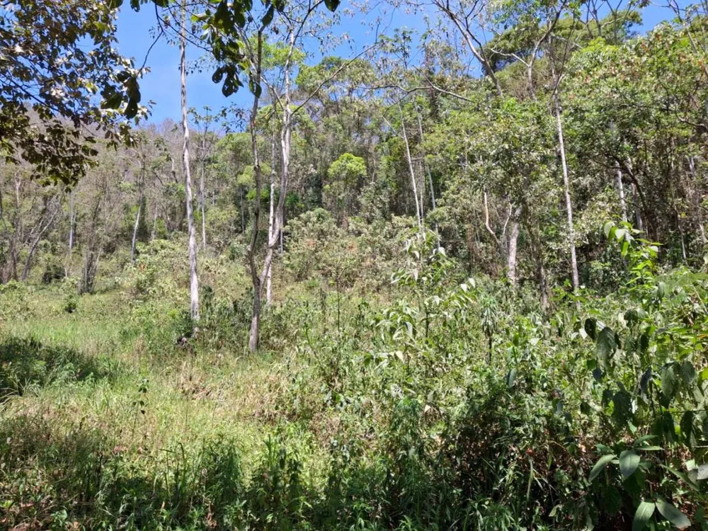Terreno - Foto 1