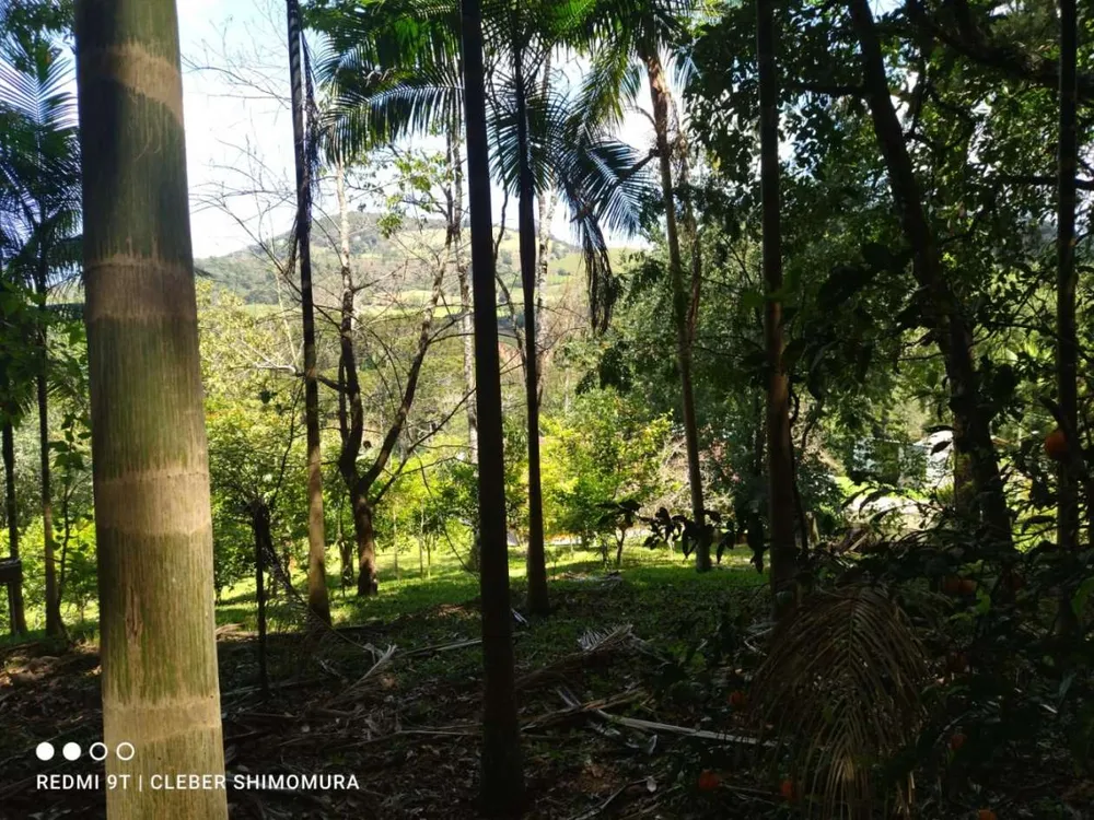 Terreno, 5 hectares - Foto 6