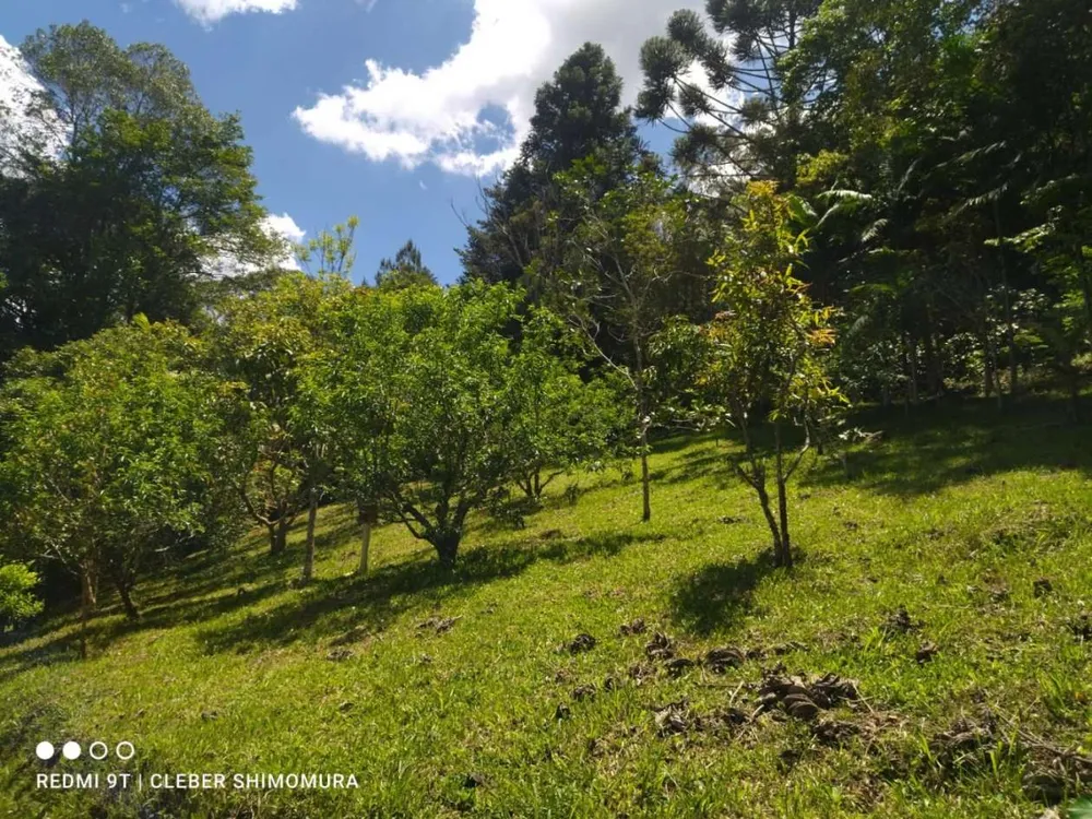 Terreno, 5 hectares - Foto 7