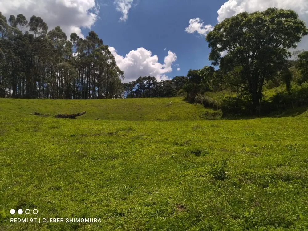 Terreno, 5 hectares - Foto 10