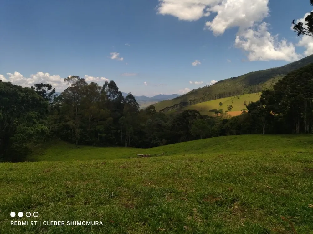 Terreno, 5 hectares - Foto 11