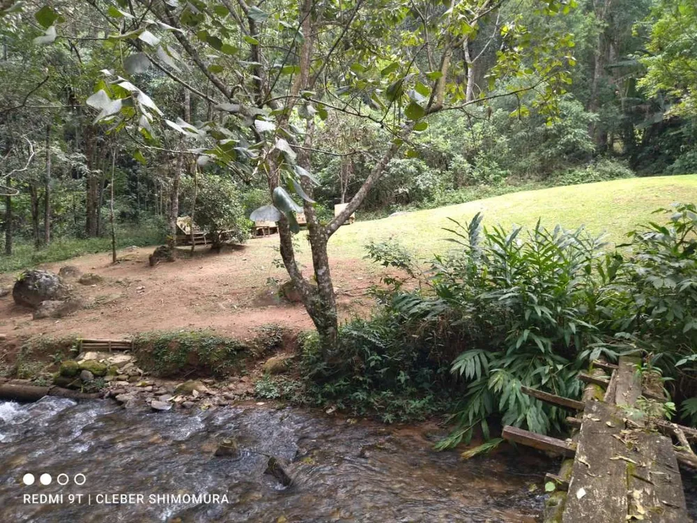 Terreno, 4 hectares - Foto 4