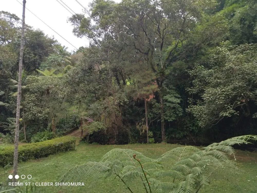 Terreno, 4 hectares - Foto 6