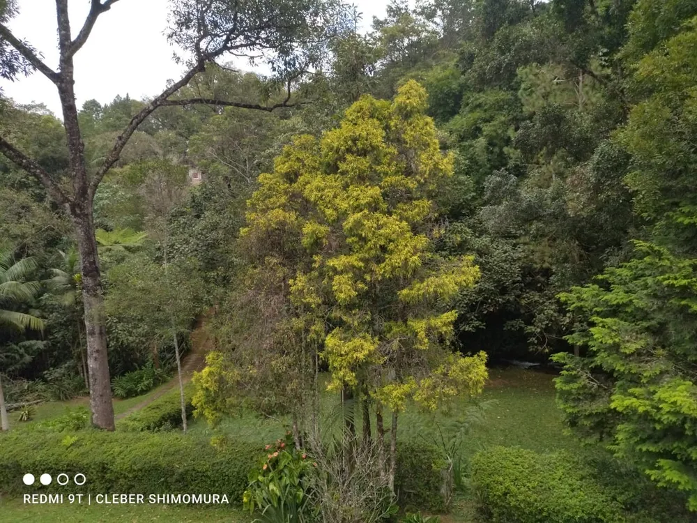 Terreno, 4 hectares - Foto 11