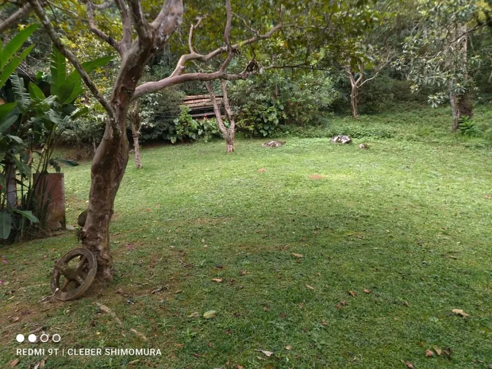 Terreno, 4 hectares - Foto 8