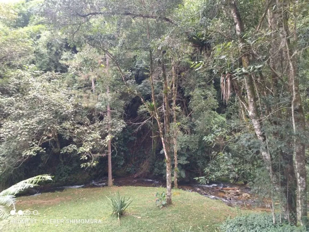 Terreno, 4 hectares - Foto 7