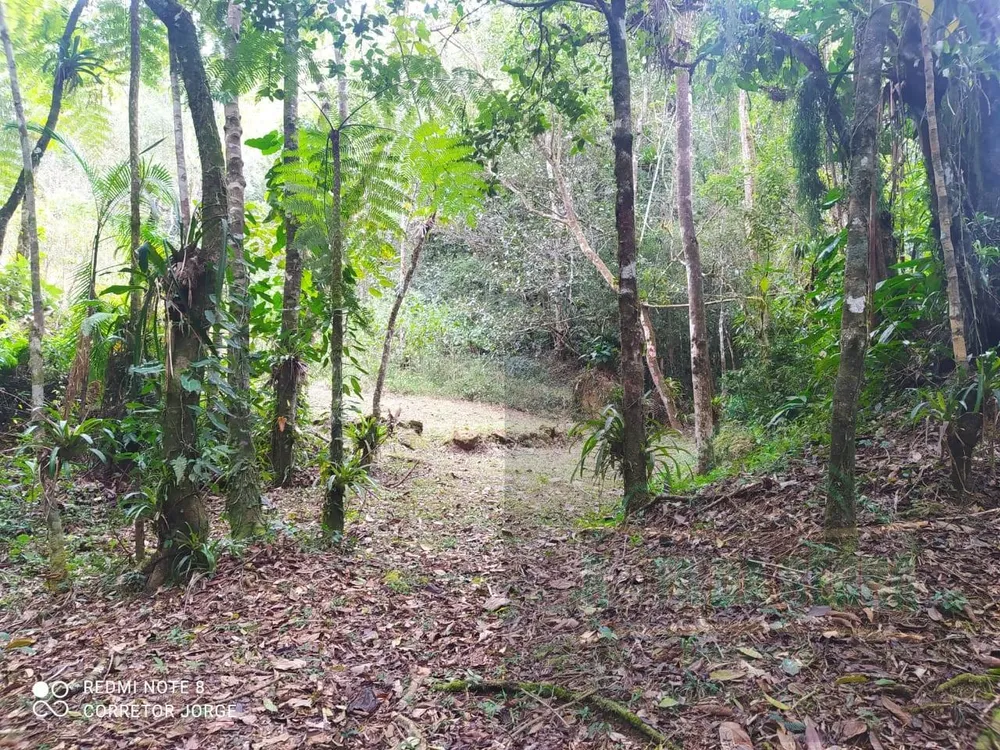 Terreno, 2 hectares - Foto 3