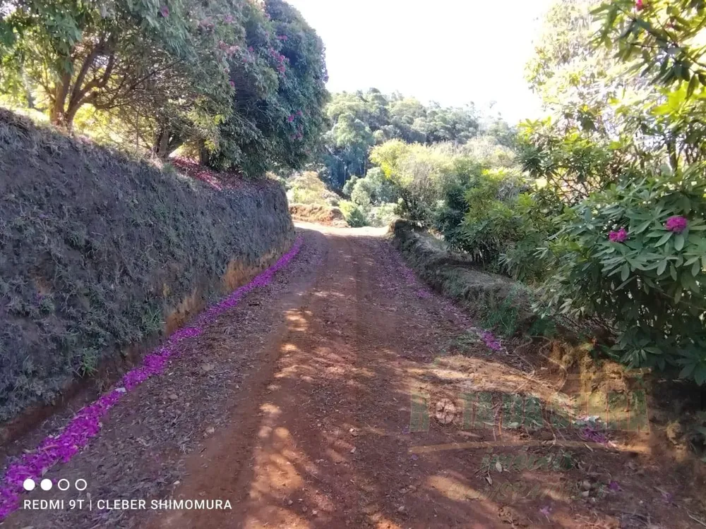 Terreno, 2 hectares - Foto 2