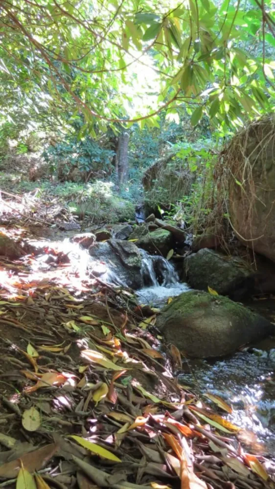 Terreno, 2 hectares - Foto 15