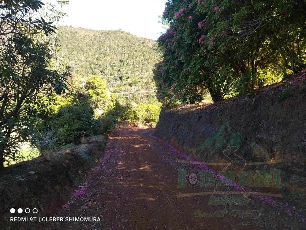 Terreno, 2 hectares - Foto 14