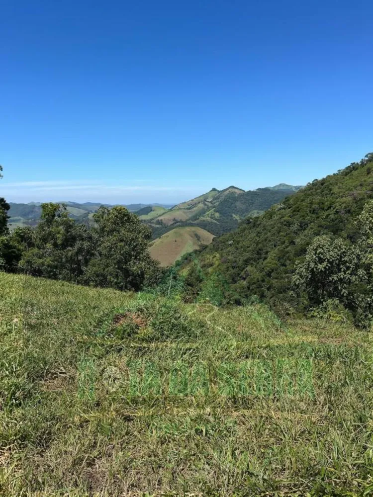 Terreno, 3 hectares - Foto 1