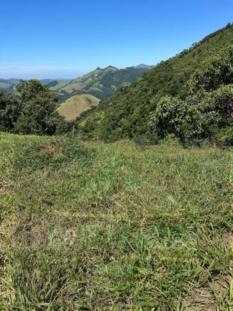 Terreno, 3 hectares - Foto 2