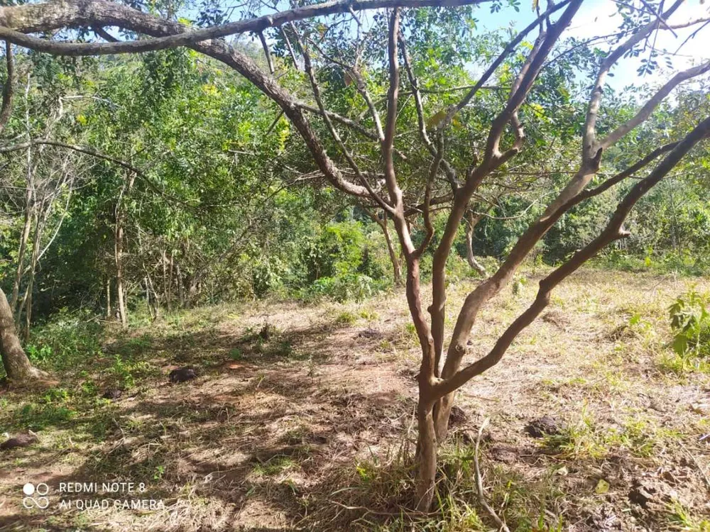 Terreno, 5 m² - Foto 5
