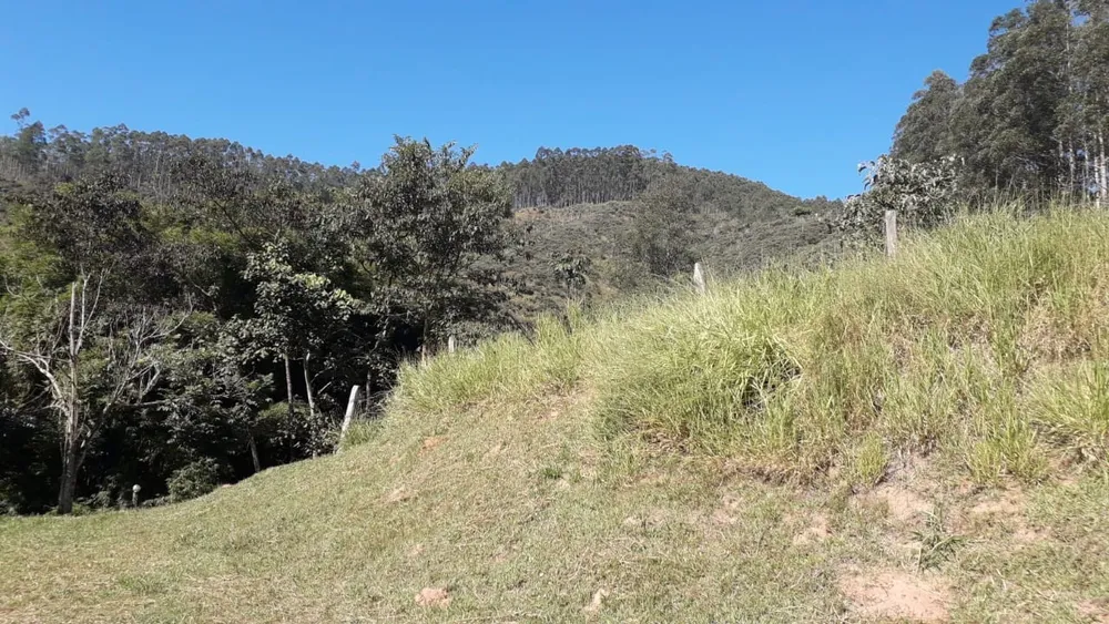 Terreno, 24 hectares - Foto 7