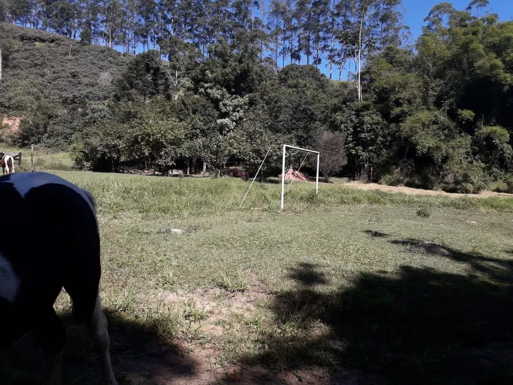 Terreno, 24 hectares - Foto 13