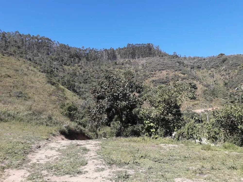 Terreno, 24 hectares - Foto 16
