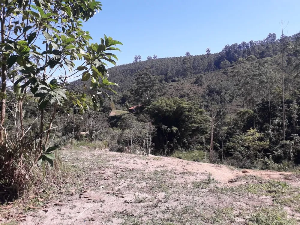 Terreno, 24 hectares - Foto 14