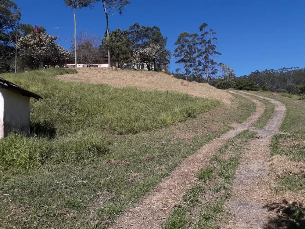 Terreno, 24 hectares - Foto 11