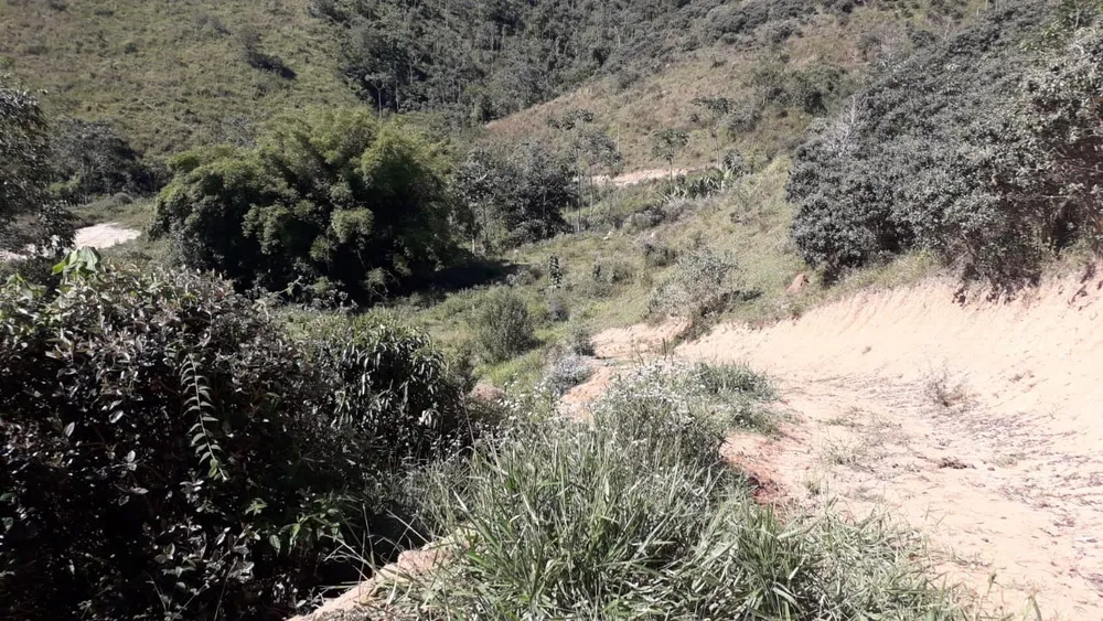 Terreno, 24 hectares - Foto 9
