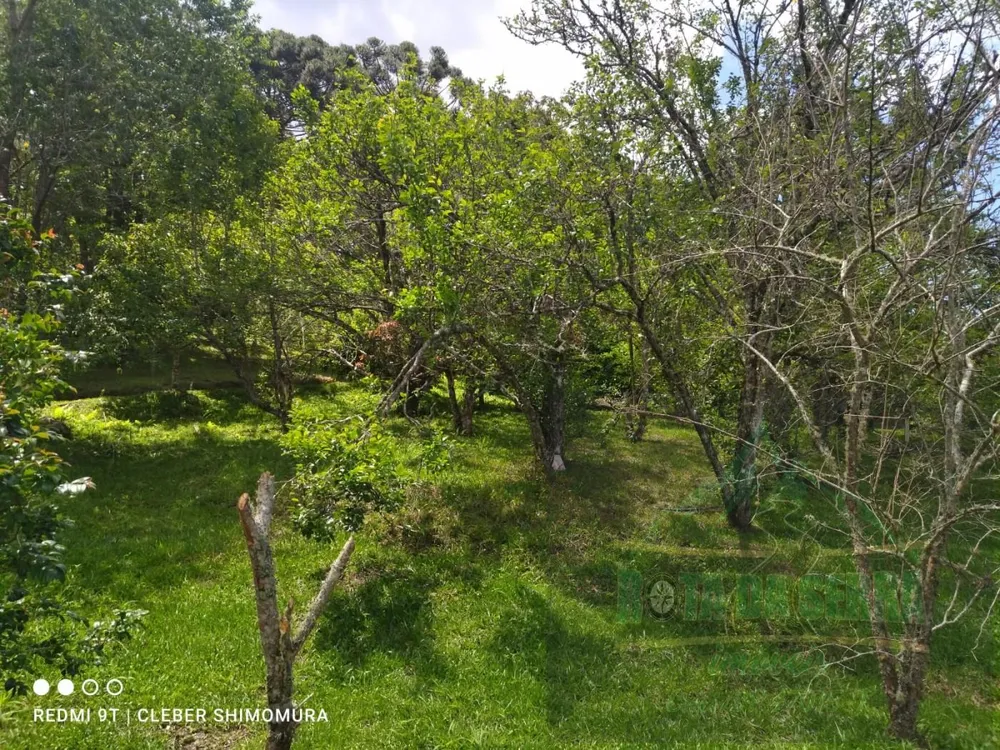 Terreno, 24 hectares - Foto 2