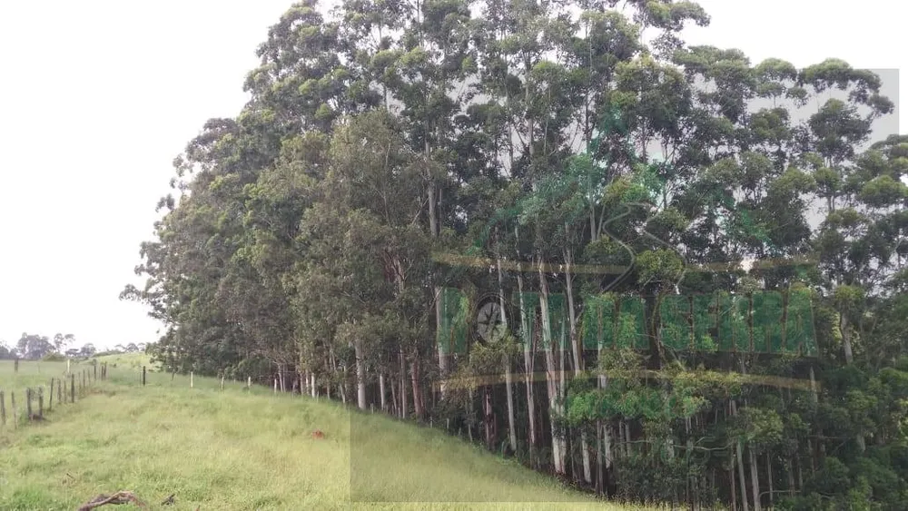 Terreno, 24 hectares - Foto 10