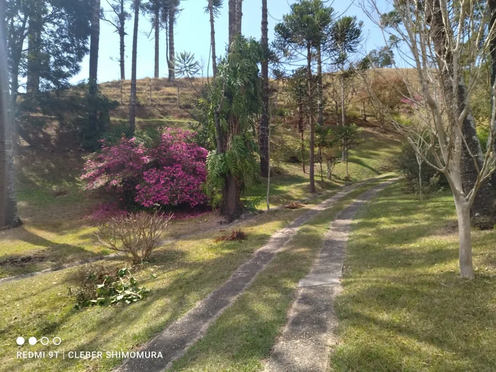 Terreno, 24 hectares - Foto 16
