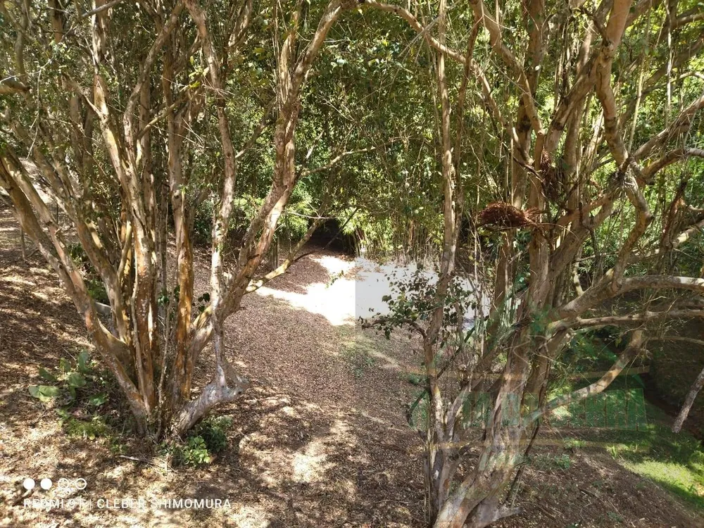 Terreno, 24 hectares - Foto 14