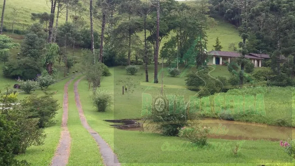 Terreno, 24 hectares - Foto 11
