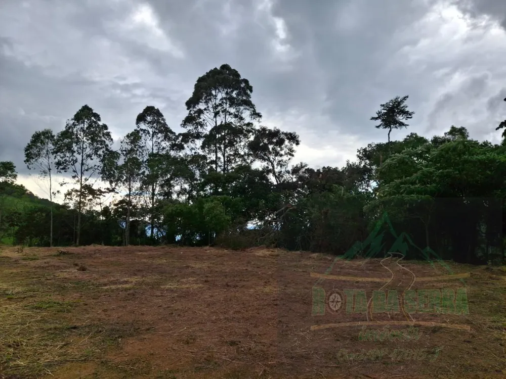 Terreno, 2 hectares - Foto 9