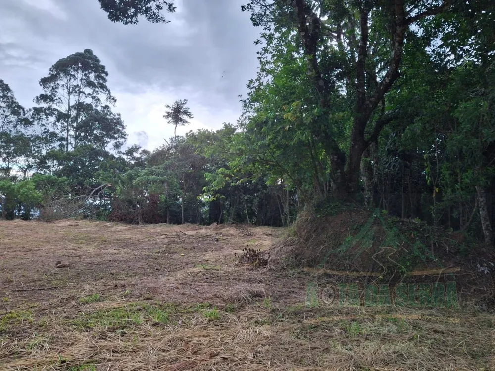 Terreno, 2 hectares - Foto 11